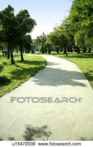 Stock Photo - outdoors, greenshade, the garden, the pavement, the grassland. Fotosearch