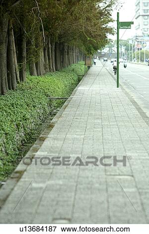 Stock Photo - outdoors, shady, greenshade, Scenic Road, the grassland, the forest is shady. Fotosearch