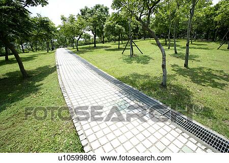 Stock Photograph - outdoors, shady path of forest, the grassland, the park, the path, spring, it is cool. Fotosearch