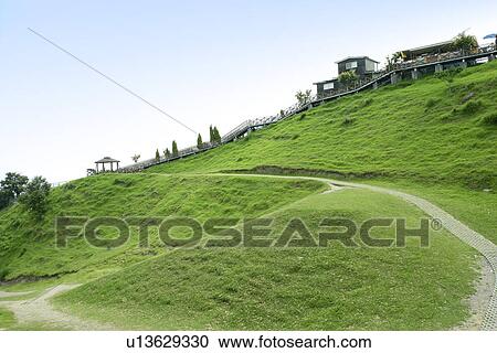 Stock Image - outdoors, shady path of forest, trees, the route, greenshade, leaves, greenland. Fotosearch