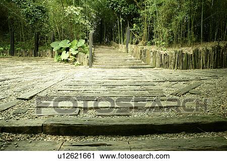 outdoors, trees, the path, the daytime, shady, the route, leaves View Large Photo Image Stock Image - outdoors, trees, the path, the daytime, shady, the route, leaves. Fotosearch