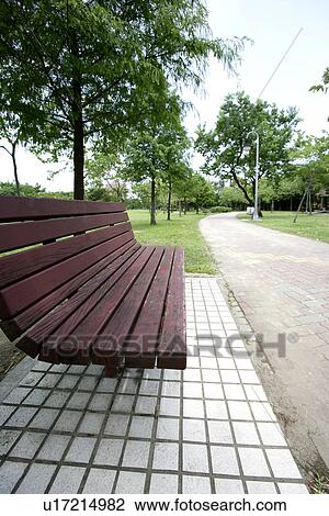 Stock Image - outside, leaves, spri, the route, the forest is shady, shady. Fotosearch