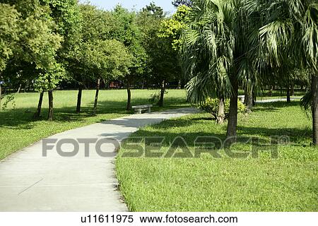 Stock Photography - Scenic Road, shady path of forest, summer, the garden, outdoors, outside. Fotosearch