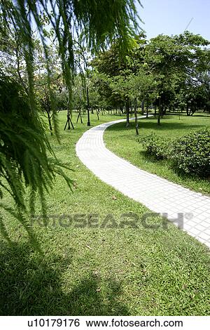 Scenic Road, the path, the forest, leaves, shady, the park View Large Photo Image Stock Photograph - Scenic Road, the path, the forest, leaves, shady, the park. Fotosearch
