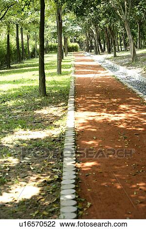Stock Image - Scenic Road, the route, the pavement, shady path of forest, outside, spring, the park. Fotosearch