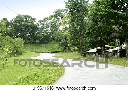 Stock Photograph - shady path of forest, it is cool, Scenic Road, the park, greenshade, outdoors. Fotosearch