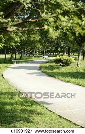 Stock Photo - shady path of forest, outside, leaves, the garden, it is, greenshade. Fotosearch