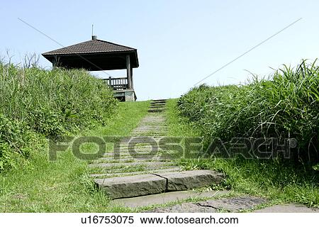 shady path of forest, shady, outside, Scenic Road, outdoors View Large Photo Image Stock Photography - shady path of forest, shady, outside, Scenic Road, outdoors. Fotosearch