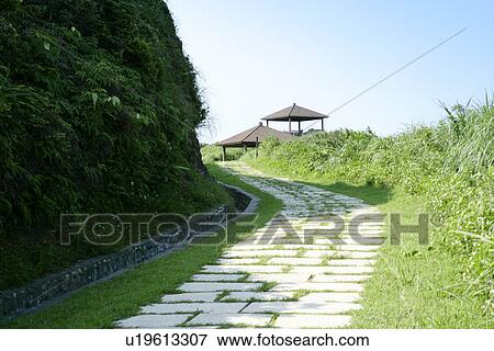 Stock Photo - shady, trees, the forest, the mountain range, the grassland. Fotosearch