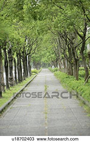 Stock Image - spring, in spring, the forest, the garden, shady, the park. Fotosearch