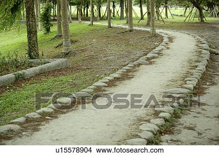 Picture - spring, it is cool, the park, greenland, trees, shady path of forest, the garden. Fotosearch