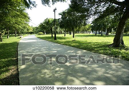 spring, trees, the pavement, greenshade, outside, Scenic Road View Large Photo Image Stock Photo - spring, trees, the pavement, greenshade, outside, Scenic Road. Fotosearch