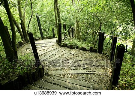 Stock Photo - summer, shady path of forest, spring, shady, it is cool, Scenic Road, the pavement. Fotosearch