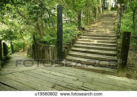 Stock Image - summer, the path, Scenic Road, it is cool, the grassland. Fotosearch