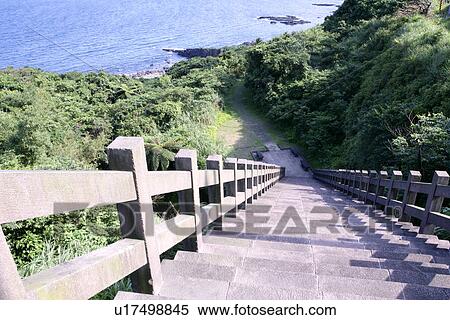 Stock Photography - the forest is shady, the daytime, the forest, the railing, Scenic Road, greenshade. Fotosearch