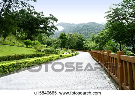 Stock Photography - the forest, outside, the rail, greenland, leaves, the railing, outdoors. Fotosearch