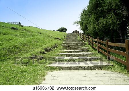 Stock Image - the forest, Scenic Road, the path, the route, the rail, greenshade. Fotosearch