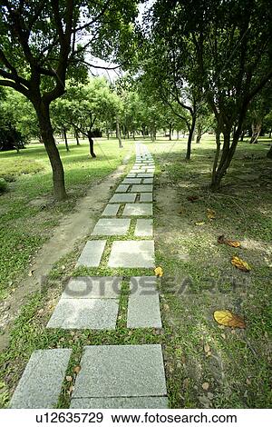 Stock Photo - the forest, the park, it is cool, in spring, shady path of forest, the path. Fotosearch