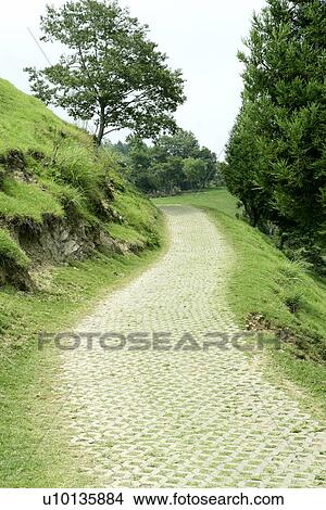 Picture - the garden, leaves, the grassland, outdoors, in spring, shady path of forest. Fotosearch