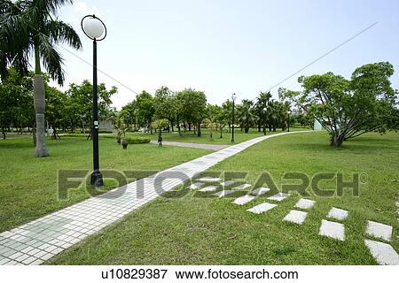 the garden, leaves, the pavement, the grassland, outside, light View Large Photo Image Stock Photo - the garden, leaves, the pavement, the grassland, outside, light. Fotosearch