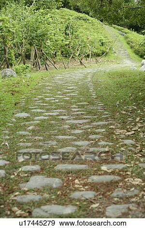 Stock Photo - the garden, outside, the path, leaves, spring, it is cool. Fotosearch