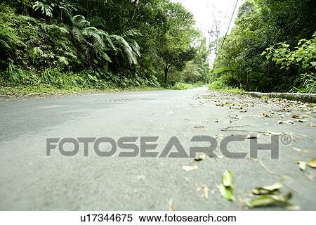 the garden, shady, spring, shady path of forest, outside View Large Photo Image Stock Photography - the garden, shady, spring, shady path of forest, outside. Fotosearch