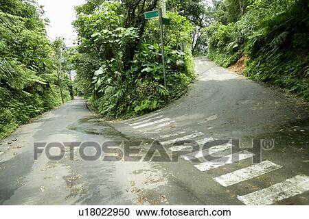 Stock Image - the grassland, it is cool, the park, greenland, the forest, shady path of forest, the path. Fotosearch