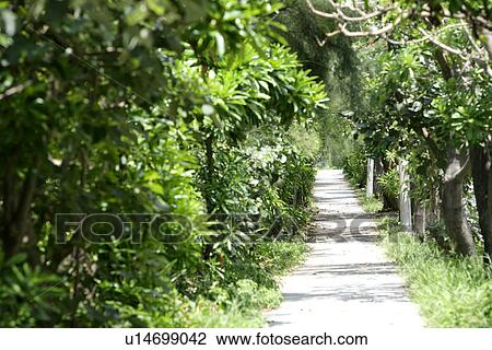 Stock Image - the park, the path, the daytime, Scenic Road, greenland, it is cool, the route. Fotosearch