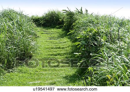 Stock Photo - the pavement, Scenic Road, the mountain, the route, the mountain range, shady, the grassland. Fotosearch