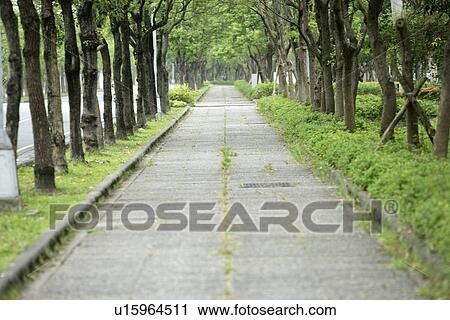 Stock Image - the pavement, spring, shady, the grassland, the path, the daytime. Fotosearch