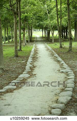 Stock Photography - the route, Scenic Road, the forest, trees, greenland, the garden, outside. Fotosearch