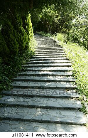 Stock Image - the stone steps, the daytime, the garden, outside, the path, leaves. Fotosearch