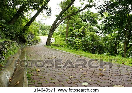 trees, spring, shady, greenshade, summer, it is cool, greenland View Large Photo Image Stock Image - trees, spring, shady, greenshade, summer, it is cool, greenland. Fotosearch