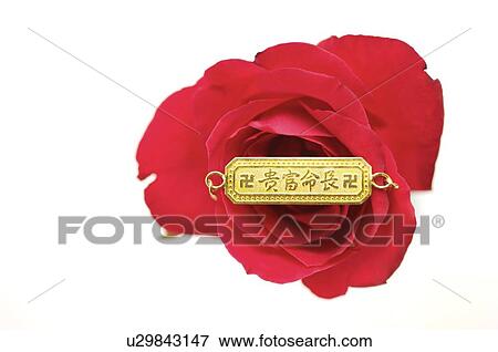 Lucky Chinese saying inscribed on a gold piece, placed against a red rose View Large Photo Image Stock Photo - Lucky Chinese saying inscribed on a gold piece, placed against a red rose. Fotosearch