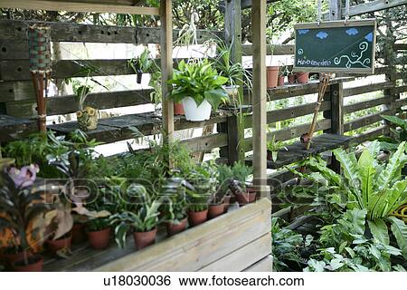 Close-Up, Day, leiture, relax View Large Photo Image Stock Photograph - Close-Up, Day, leiture, relax. Fotosearch