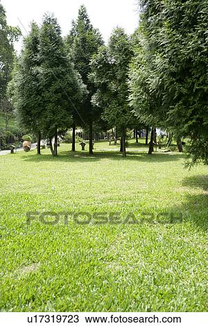 Stock Image - Close-Up, Outdoors, relax. Fotosearch