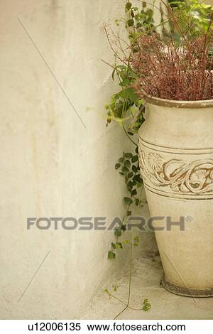 Stock Photography - Day, Close-Up, Outdoors, relax, digital. Fotosearch