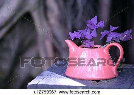 Day, Outdoors, Leisure View Large Photo Image Stock Photo - Day, Outdoors, Leisure. Fotosearch