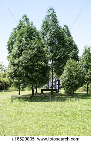 Stock Photography - Leisure, Close-Up, relax, Outdoors, digital. Fotosearch
