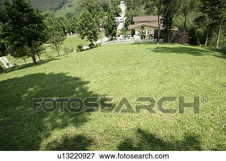 relax, Close-Up, leiture, Day View Large Photo Image Stock Photo - relax, Close-Up, leiture, Day. Fotosearch