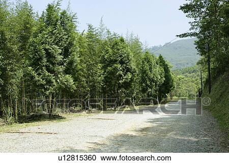 Stock Image - relax, Leisure, scenery, Close-Up, Outdoors. Fotosearch