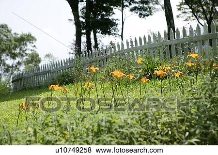 Stock Photo - scenery, Outdoors, Day. Fotosearch
