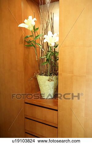 Picture - Plant, Decoration, Flowers, Furniture, Pot plants. Fotosearch