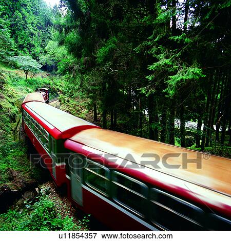 Stock Photo - Chinese, scenery, Taiwan, scenic spot, forest, Asia, Ali Mountain. Fotosearch