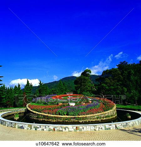 Yangming Mountain, country, Chinese, Yangmingshan, scenic spot, Taipei, Asia View Large Photo Image Stock Image - Yangming Mountain, country, Chinese, Yangmingshan, scenic spot, Taipei, Asia. Fotosearch