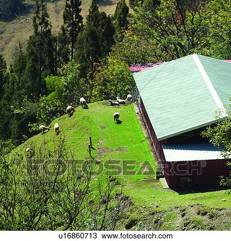 House, Architecture, Taiwan, Farm house, Taiwan Sceneries 2, Artificial landscape, Building View Large Photo Image Stock Image - House, Architecture, Taiwan, Farm house, Taiwan Sceneries 2, Artificial landscape, Building. Fotosearch