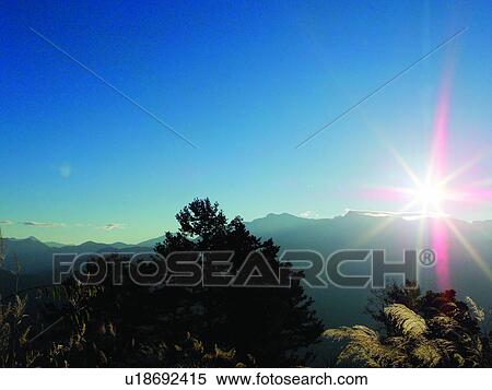 Natural landscape, Sunrising, Plant, Trees, Taiwan Sceneries 2, Plants, Sun View Large Photo Image Stock Photography - Natural landscape, Sunrising, Plant, Trees, Taiwan Sceneries 2, Plants, Sun. Fotosearch