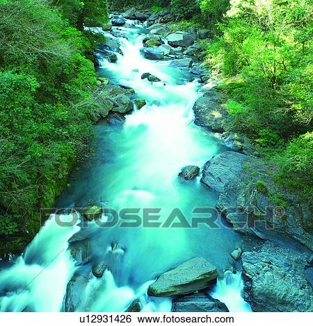 Taiwan, Creeks, Plant, Trees, Plants, Mountains, Mountain View Large Photo Image Stock Photograph - Taiwan, Creeks, Plant, Trees, Plants, Mountains, Mountain. Fotosearch