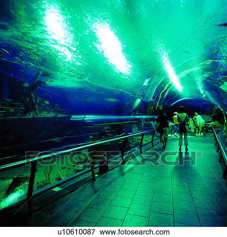 Taiwan, Humans, Formosa, Architecture, Tunnel, Aquarium, Tourist View Large Photo Image Stock Photo - Taiwan, Humans, Formosa, Architecture, Tunnel, Aquarium, Tourist. Fotosearch