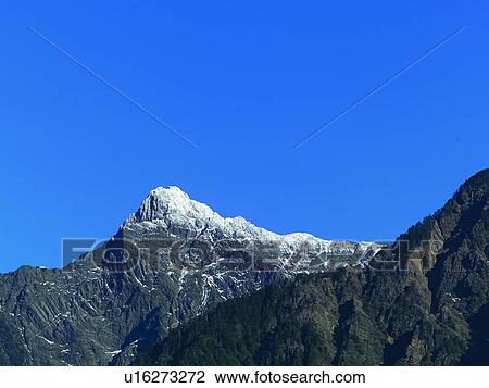 Tree, Taiwan, Formosa, Forests, Woods, Trees, Forest View Large Photo Image Stock Image - Tree, Taiwan, Formosa, Forests, Woods, Trees, Forest. Fotosearch